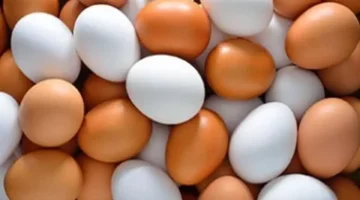 سعر طبق البيض بالقليوبية الإثنين 15 ديسمبر 2025: الأبيض 116 جنيهًا